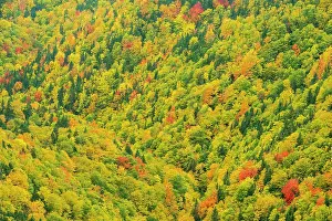 Nova Scotia Prints: jλc1KfNt*OiqqB IH?UxC}2s|4'GDd @T'lK0Vl