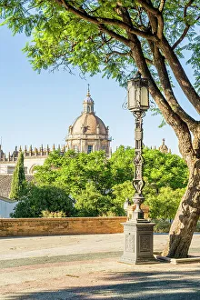Jerez Cathedral, Jerez de la Frontera, Andalusia, Spain