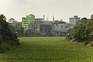 Jessore, Bangladesh. The Bhairab river is clogged with water hyacinth