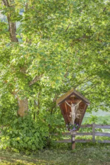 Jesus Prints: Jesus wayside cross in Lengmoos am Ritten, South Tyrol, Italy