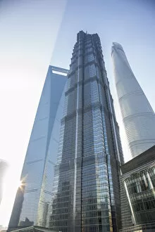 Images Dated 14th November 2014: Jin Mao Tower, Shanghai Tower and Shanghai World Finance Center, Lujiazui, Pudong