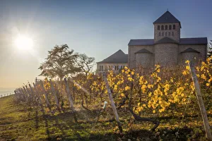 Rheingau Prints: Johannisberg Castle Basilica, Rheingau, Hesse, Germany