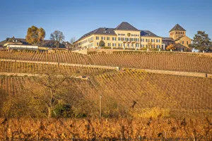 Rheingau Prints: Johannisberg Castle, Rheingau, Hesse, Germany
