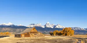 Images Dated 27th February 2019: John Moulton historic barn, Mormon Row, Grand Teton National Park, Wyoming, USA