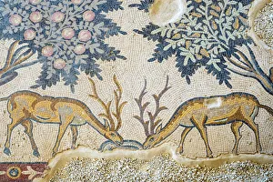 Kingdom Of Jordan Prints: Jordan, Madaba Governorate, Khirbet al-Mukhayyat