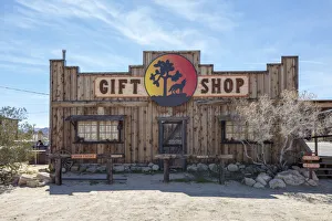 Images Dated 11th November 2020: Joshua Tree gift shop, Joshua, California, USA