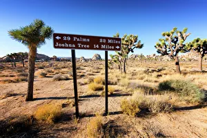 Hidden Valley Prints: Joshua Tree National Park.San Bernardino County, Southeastern California, USA