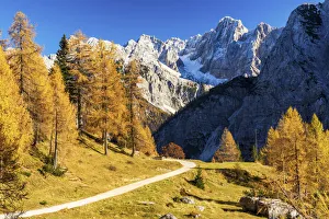 Environmental Prints: Julian Alps in Autumn, near Kranjska Gora, Slovenia, Europe
