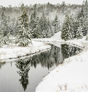 Woodlands Prints: Junction Creek with fresh snow, Greater Sudbury, Ontario, Canada