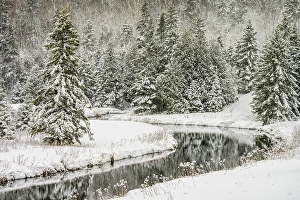 Open Water Prints: Junction Creek with fresh snow, Greater Sudbury, Ontario, Canada