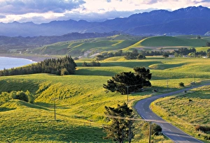 Kaikoura Peninsular