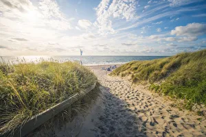 Images Dated 25th August 2017: Kampen, Sylt island, North Frisia, Schleswig-Holstein, Germany. Pathway through the dunes