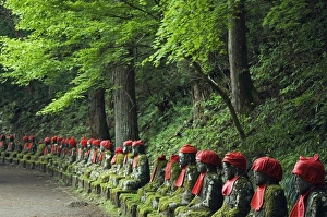 Figures Prints: Kanmangafuchi area of Nikko town