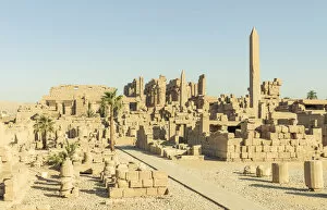 Columns Gallery: Karnak Temple, Luxor, Egypt, Africa