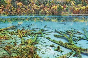 Karst lake Peacock Lake and forest in autumn - China, Sichuan, Jiuzhaigou, Peacock Lake