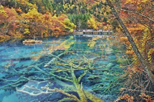 Karst lake Peacock Lake and forest in autumn - China, Sichuan, Jiuzhaigou, Peacock Lake