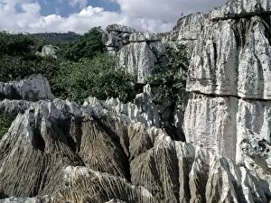 Socotra Island Collection: Karst limestone in the Homhil Mountains