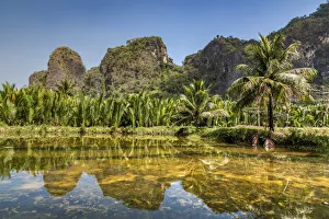 Karst Mountain landscape, Ramang Ramang, Sulawesi, Indonesia