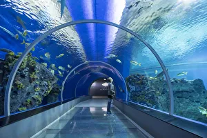 Kastrup, Copenhagen, Hillerod, Denmark. National Aquarium or Blue Planet (Den Bla Planet)