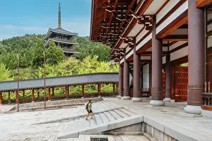 Empty Prints: Katsuyama, Seidaiji Temple is home to the Echizen Great Buddha and 1