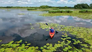 Boating Prints: Kayaker on Rockland Broad, Norfolk Broads National Park, Norfolk, England