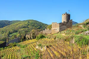 Alsace Gallery: Kaysersberg castle, Haut-Rhin, Alsace, Alsace-Champagne-Ardenne-Lorraine, Grand Est, France