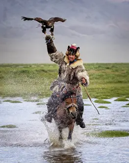 Attire Prints: Kazakh Eagle hunter galloping through water on horseback with his trained golden eagle
