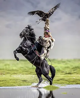 Mongolia Prints: Kazakh Eagle hunter on horseback with his trained golden eagle