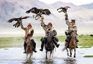 Mongolia Prints: Three Kazakh Eagle hunters galloping through water on horseback with their trained golden eagles