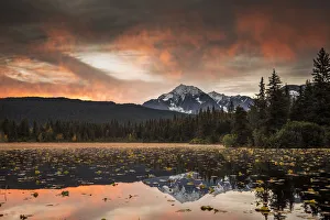 Kenai peninsula, Alaska, United States of America