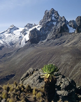 Central Highlands Gallery: Kenya, Central Highlands