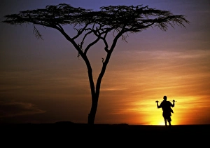 Acacia Tree Gallery: Kenya, Chalbi Desert, Kalacha