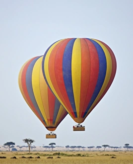 Adventure Gallery: Kenya, Masai Mara, Masai Mara Game Reserve