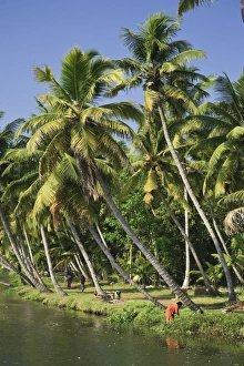 Kerala Backwaters near Allapuzha
