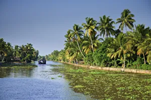 Images Dated 22nd December 2008: Kerala Backwaters near Allapuzha, Kerala, India