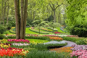 Tulip Prints: Keukenhof Botanical Garden, Lisse, North Holland, Netherlands