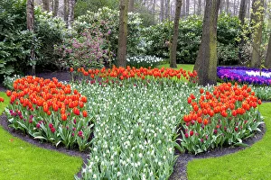 Keukenhof gardens, Lisse, North Holland, Netherlands
