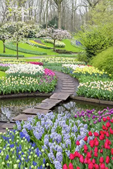 Keukenhof gardens, Lisse, North Holland, Netherlands