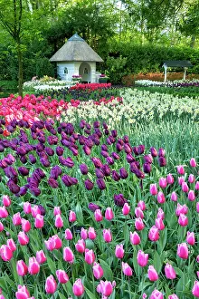 Summer House Prints: Keukenhof Gardens in Spring, Lisse, Holland, Netherlands