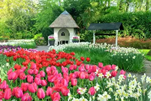 Summer House Prints: Keukenhof Gardens in Spring, Lisse, Holland, Netherlands