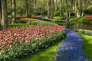 Images Dated 24th May 2022: Keukenhof Gardens in Spring, Lisse, Holland, Netherlands