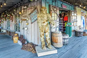 Souvenirs Prints: Key West Historic Seaport, Key West, Florida Keys, Florida, USA