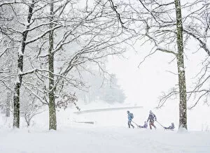 Images Dated 15th June 2021: Kids on sledges by the Zemborzycki lakefront at snowstorm, Lublin, Lublin Voivodeship