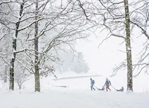 Lublin Voivodeship Prints: Kids on sledges by the Zemborzycki lakefront at snowstorm, Lublin, Lublin Voivodeship