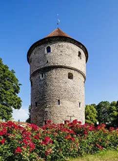 Tallinn Prints: Kiek in de Kok Tower, Old Town Walls, Tallinn, Estonia