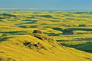 Prairie Province Prints: Killdeer Badlands. East Block Grasslands National Park Saskatchewan, Canada
