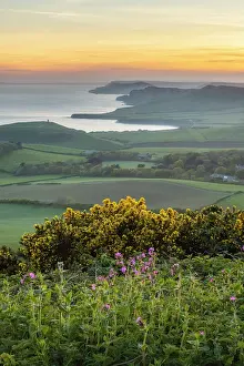 Layers Prints: Kimmeridge Bay and Gad Cliff from Swyre Head