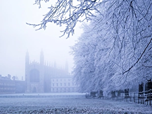 Kings College Prints: Kings College and Chapel