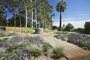 Images Dated 11th March 2011: Kings Park, Perth, Western Australia, Australia