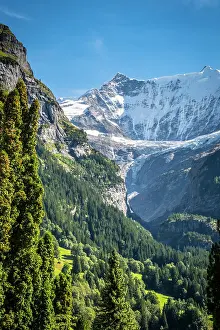 Grindelwald Prints: Klein Fiescherhorn, Grindelwald, Berner Oberland, Switzerland